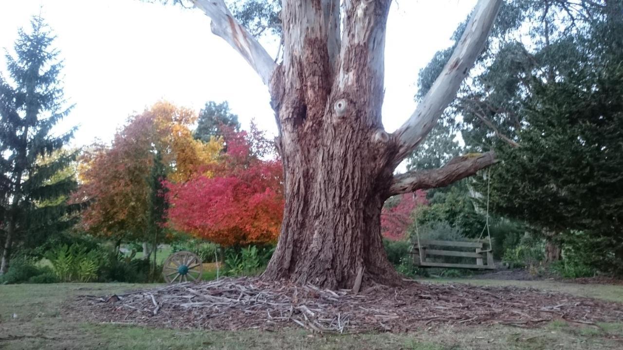 Altona Garden Retreat *